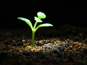 Pushing the envelope for growth and success