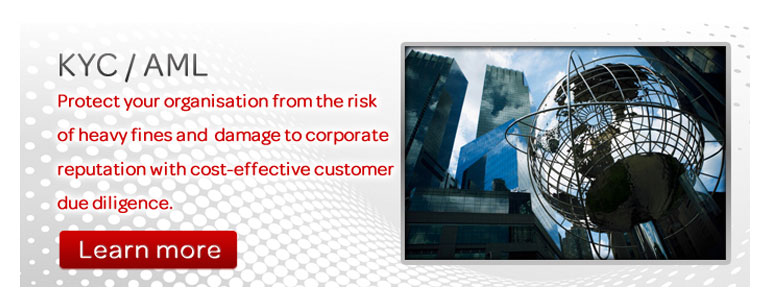 Lexis Nexis Risk Management promotional image 2